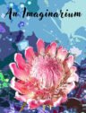 An Imaginarium
