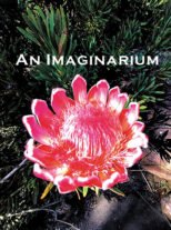 An Imaginarium